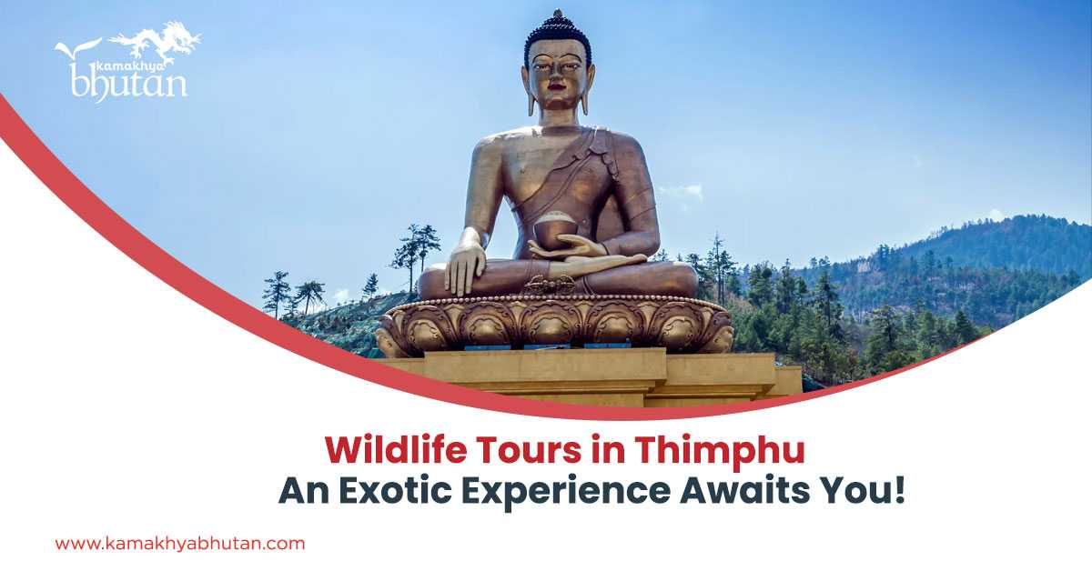 Wildlife Tours in Thimphu: An Exotic Experience Awaits You!