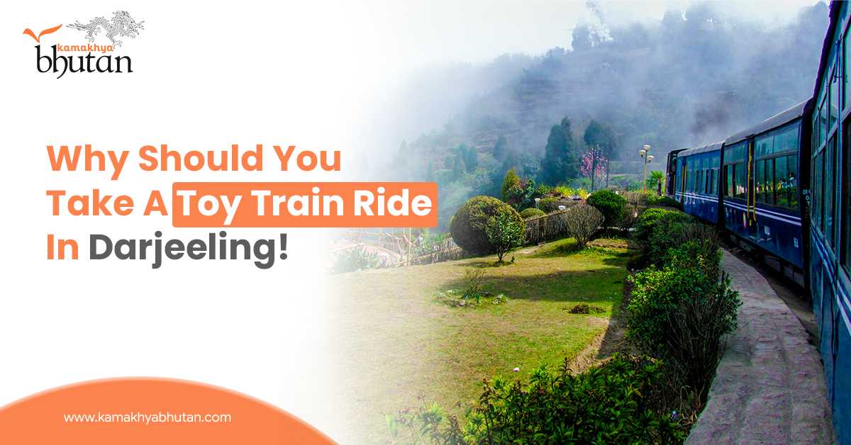 Why Should You Take A Toy Train Ride In Darjeeling