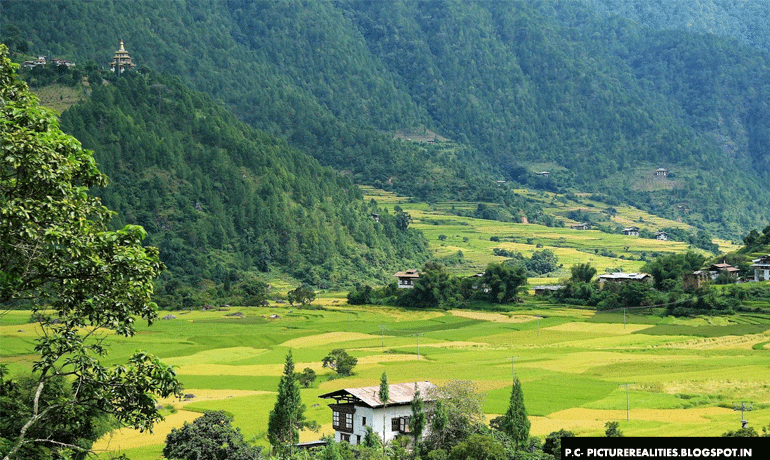 Trek through the valley of Punakha
