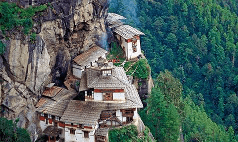 tigers nest
