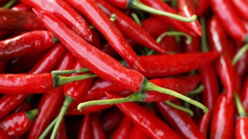 chilies