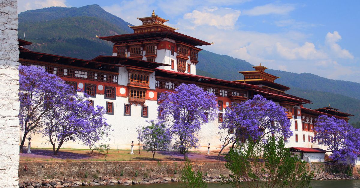 Punakha Dzong - KAMAKHYA TOURS AND TRAVELS Blog