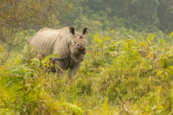 Bhutan Image slider4