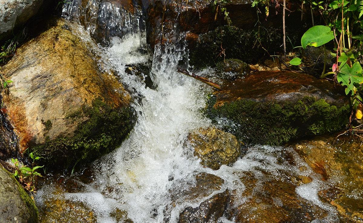 Bhutan Photo