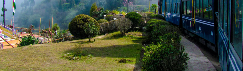 Best spots in Darjeeling with darjeeling tour package