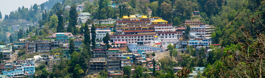 avail Darjeeling honeymoon package from Siliguri