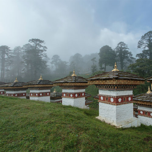 Paro 