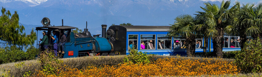 Tour packages for Darjeeling from Siliguri