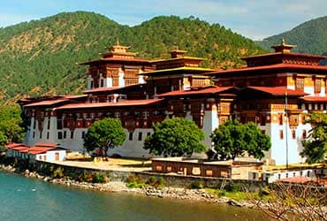 punakha dejong